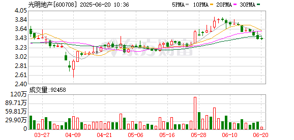 兴旺国际投资 光明地产：2024年年度股东大会决议公告
