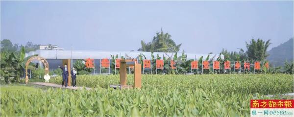 佳禾资本 中国银行广东省分行: 为党建注入“数智动能”用金融浇灌“希望田野”